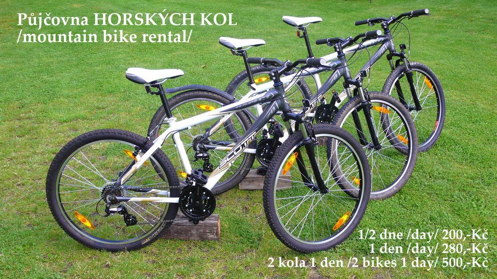 Penzion Fousek Zvíkovské Podhradí Exterior foto